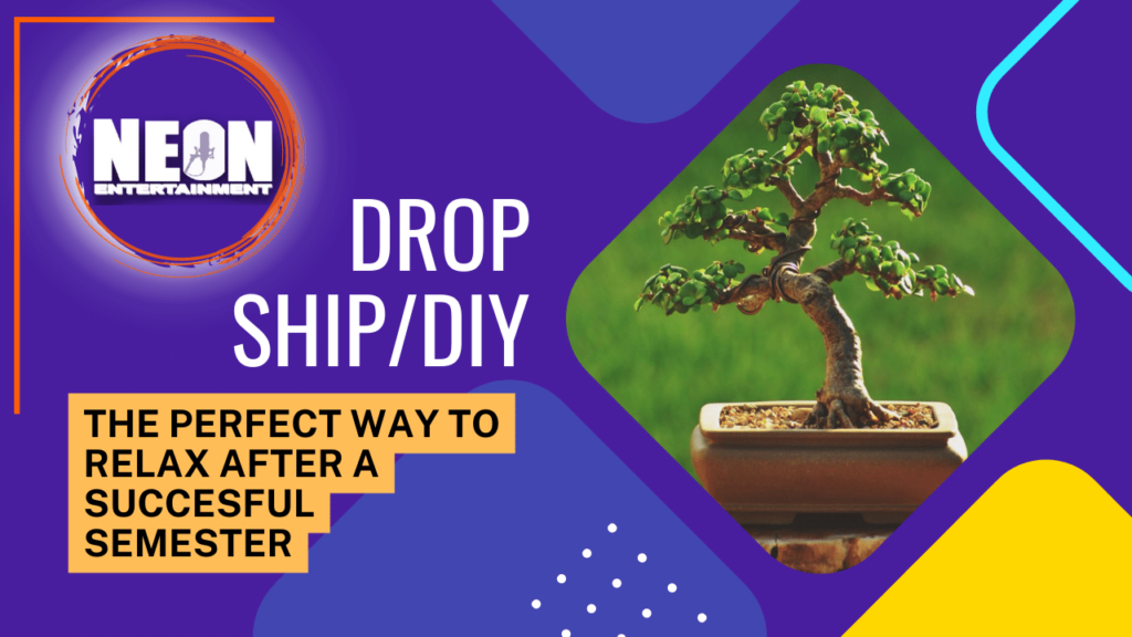 DIY/Drop ship blog header image with a bonsai tree 