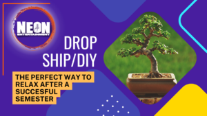 DIY/Drop ship blog header image with a bonsai tree
