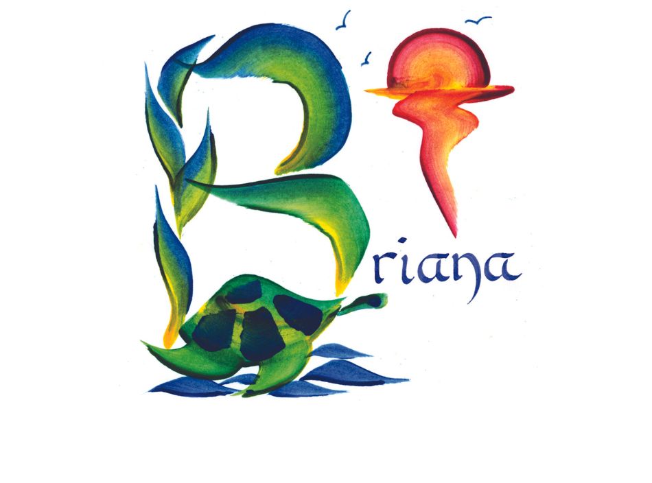 BRIANA