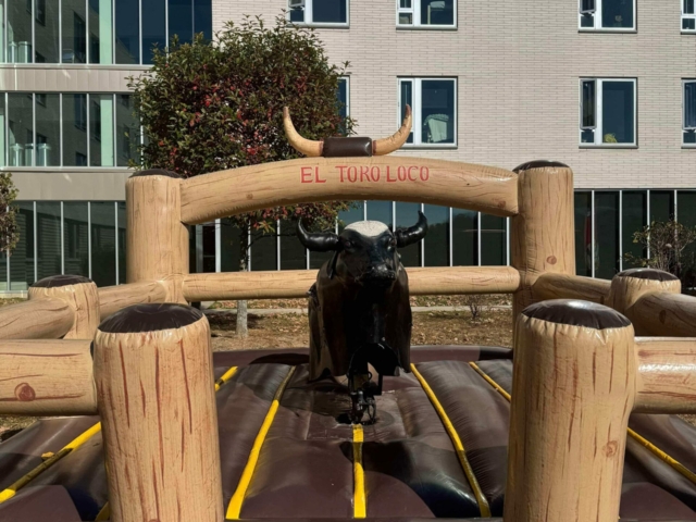 Mechanical Bull
