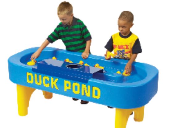 Carnival Game - Duck Pond
